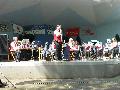 Volkspark-Konzert 2012 – DSCN1297.jpg
